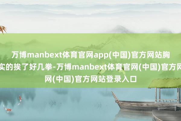 万博manbext体育官网app(中国)官方网站胸口便结结子实的挨了好几拳-万博manbext体育官网(中国)官方网站登录入口