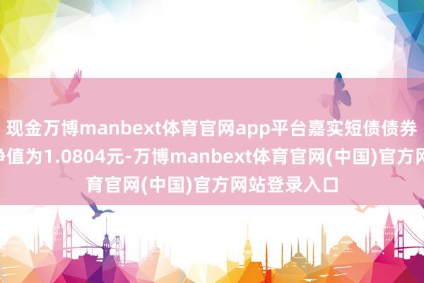 现金万博manbext体育官网app平台嘉实短债债券A最新单元净值为1.0804元-万博manbext体育官网(中国)官方网站登录入口