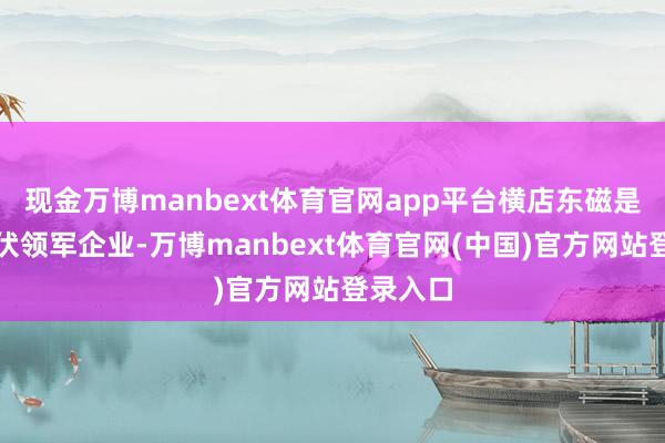 现金万博manbext体育官网app平台横店东磁是我国光伏领军企业-万博manbext体育官网(中国)官方网站登录入口