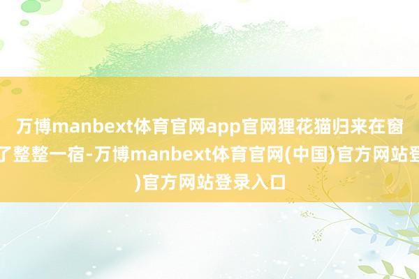 万博manbext体育官网app官网狸花猫归来在窗台上叫了整整一宿-万博manbext体育官网(中国)官方网站登录入口