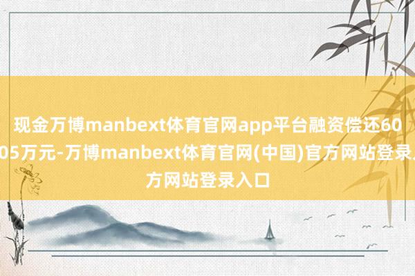 现金万博manbext体育官网app平台融资偿还6087.05万元-万博manbext体育官网(中国)官方网站登录入口