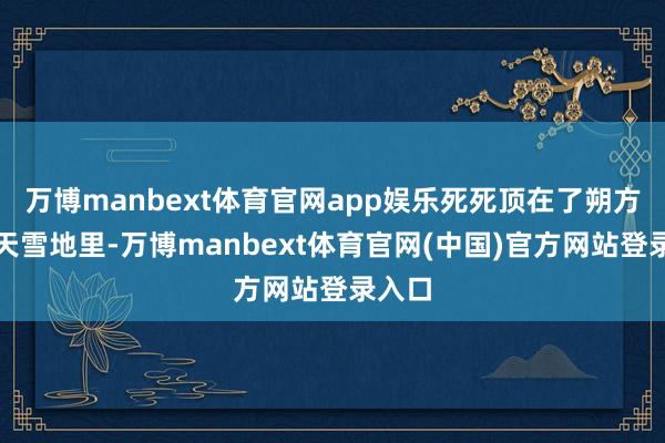 万博manbext体育官网app娱乐死死顶在了朔方的冰天雪地里-万博manbext体育官网(中国)官方网站登录入口