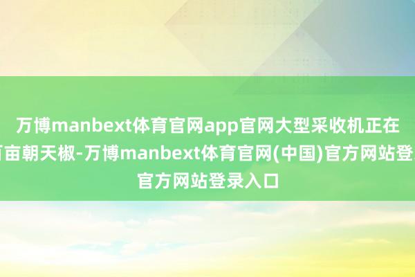万博manbext体育官网app官网大型采收机正在采收百亩朝天椒-万博manbext体育官网(中国)官方网站登录入口
