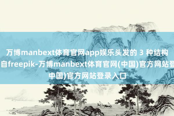 万博manbext体育官网app娱乐头发的 3 种结构 原图来自freepik-万博manbext体育官网(中国)官方网站登录入口