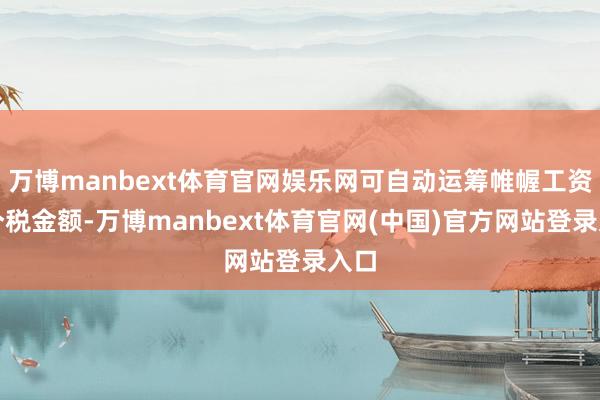 万博manbext体育官网娱乐网可自动运筹帷幄工资及个税金额-万博manbext体育官网(中国)官方网站登录入口
