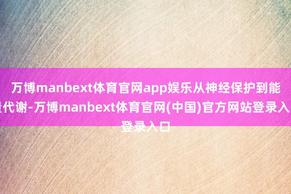 万博manbext体育官网app娱乐从神经保护到能量代谢-万博manbext体育官网(中国)官方网站登录入口